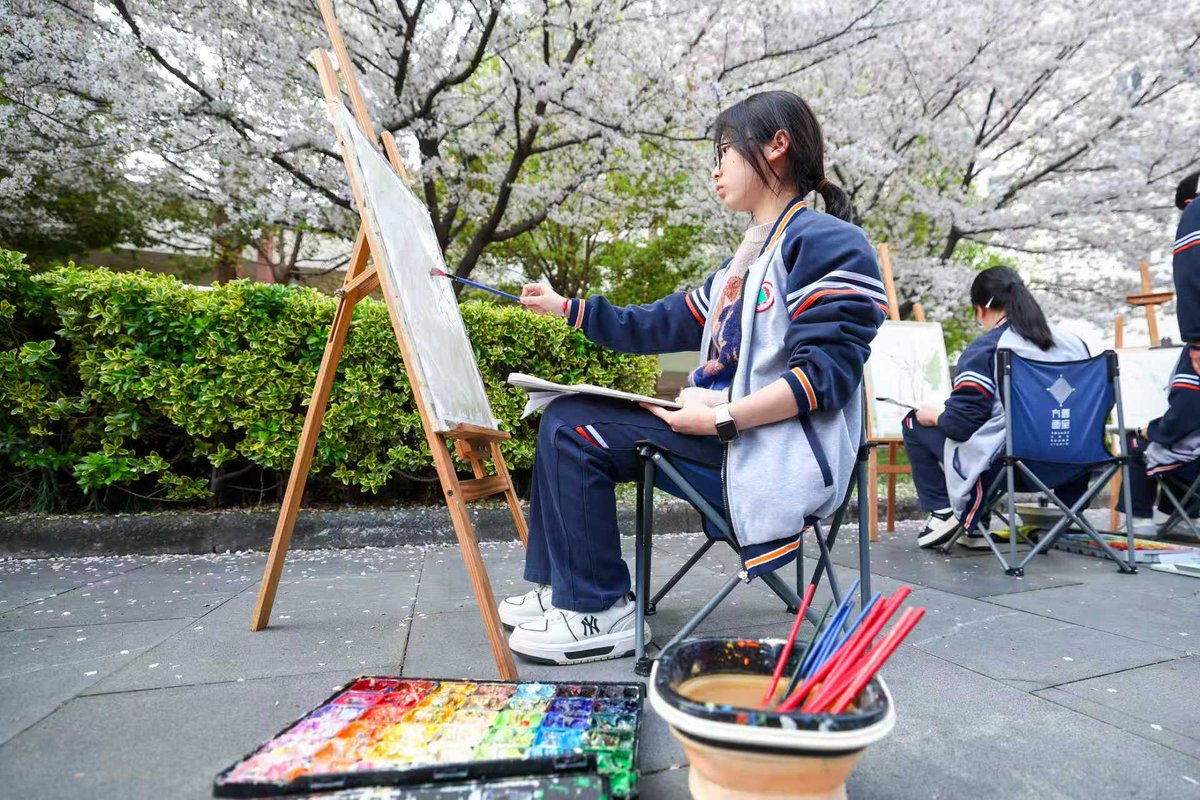 Hi_Deqing's tweet photo. April at Deqing No.1 Middle School: cherry blossoms unfurl in a cloud-fall of pink. Art students sketch beneath the pink rain, borrowing a floating studio from spring—where real blooms overlap paper dreams in double exposure. #Deqing #CherryBlossom #ArtClub #SpringVibes #YouthArt https://t.co/j1jJa7PUAA