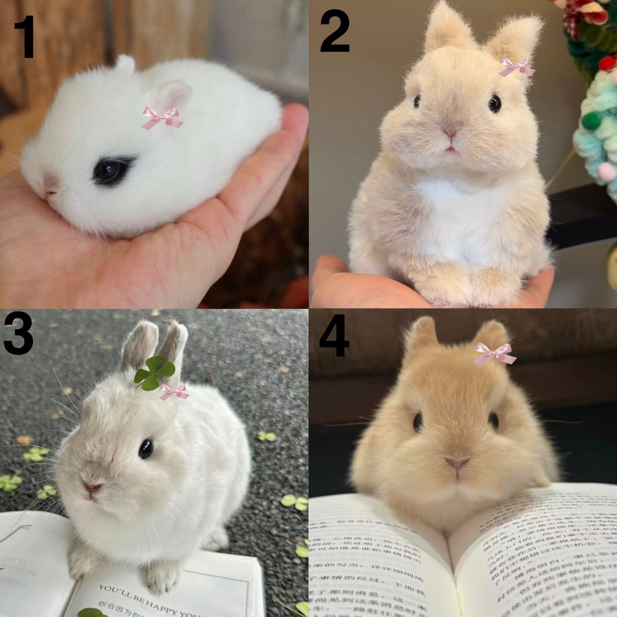 투김⸝⸝⸝ tweet media