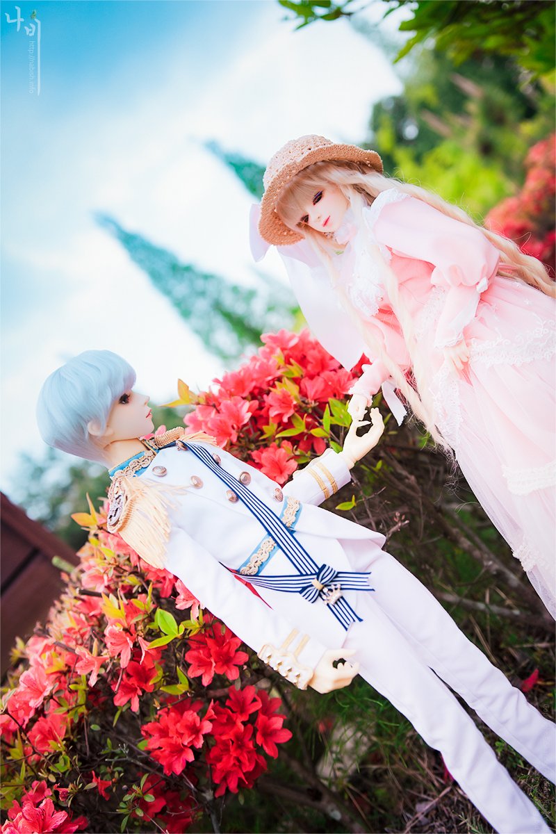 ☆쉐링☆sharing☆ tweet media