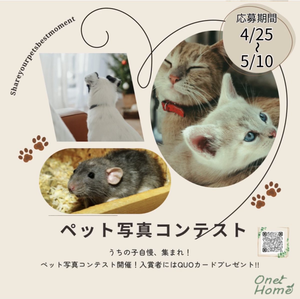 OneHomeLetter's tweet photo. うちの子のかわいい瞬間、
みんなにシェアしませんか？🐶🐱✨

ペット写真コンテスト開催中📸
とっておきの1枚を募集しています。

入賞者にはQUOカードをプレゼント🎁

ご応募はホームページの応募フォームから😊
【応募期間】4/25〜5/10

#ペット写真コンテスト #うちの子自慢 #ペットのいる暮らし https://t.co/T6Eb73GwAC