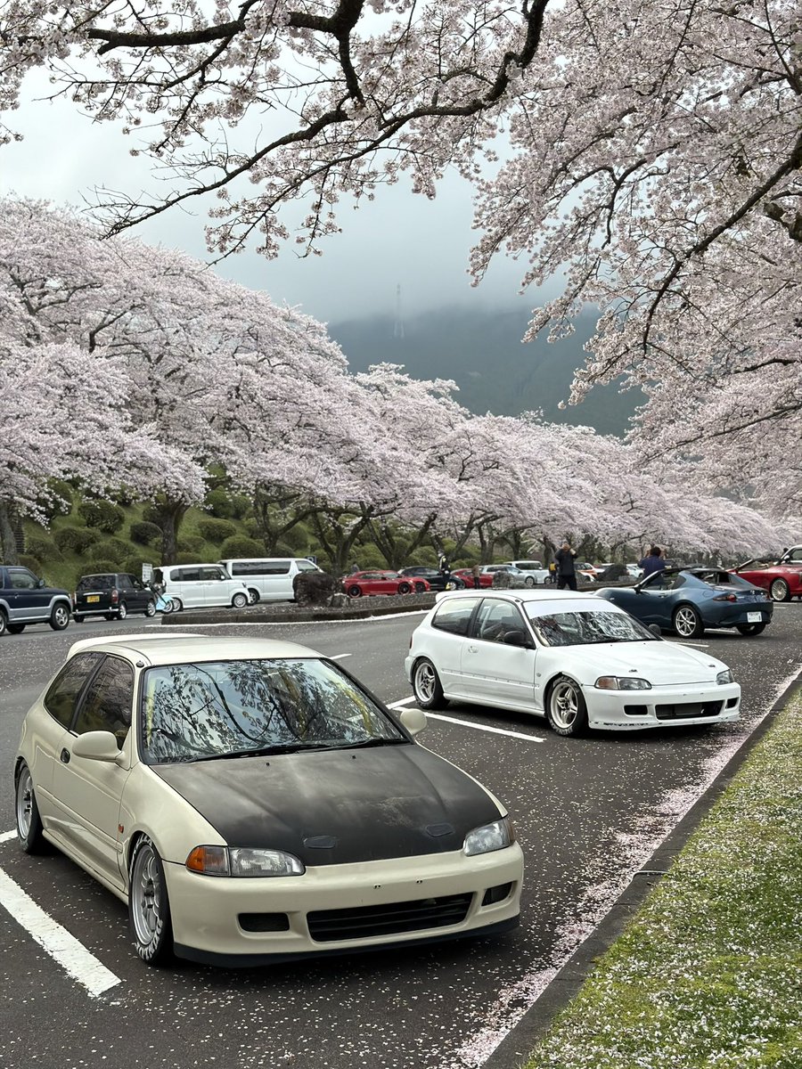 まろん tweet media