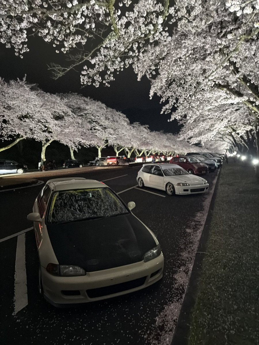 まろん tweet media