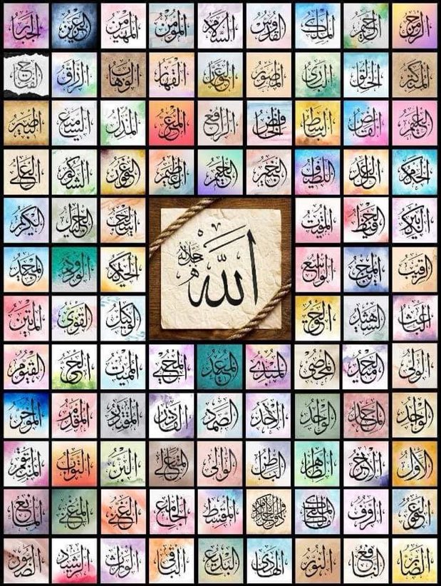 Amal Fatima tweet media