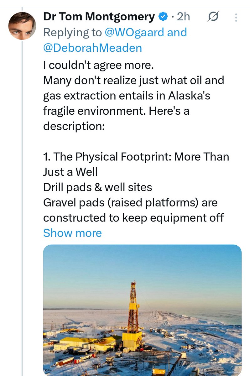 MissJaneM tweet media