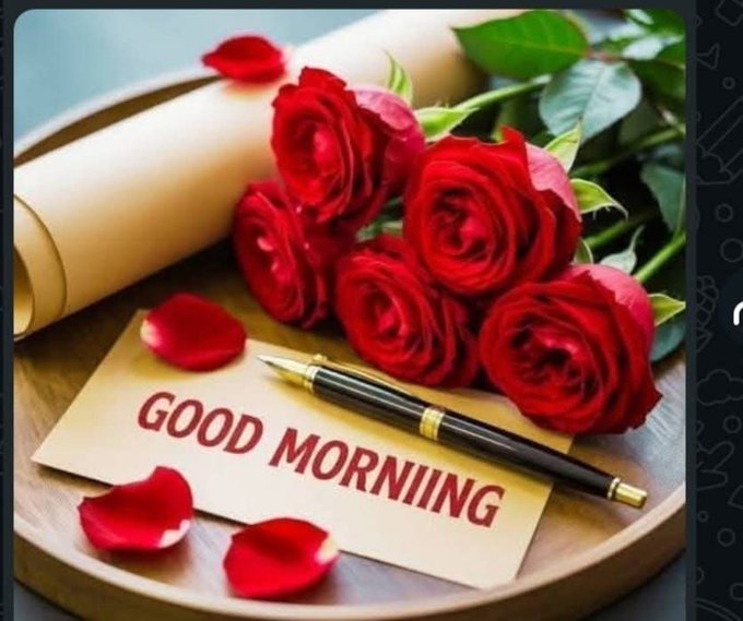 MohammedBHR tweet media