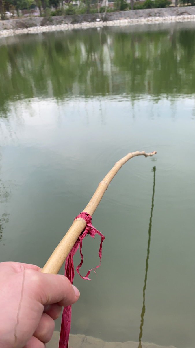 JM 火龙果 tweet media