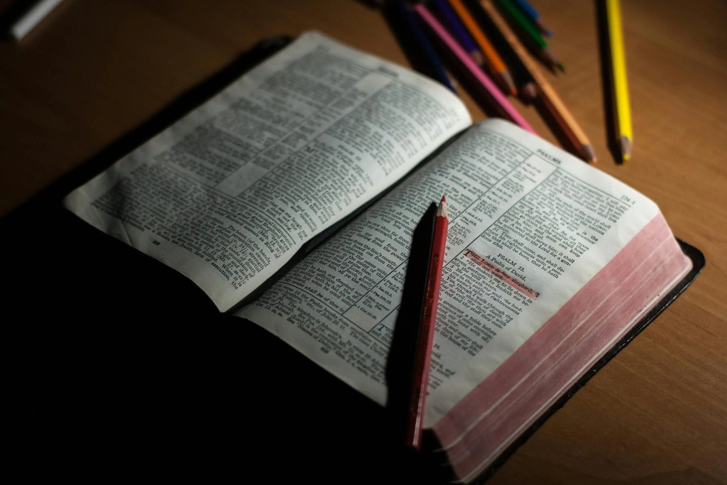 revtrev's tweet image. Cry for VindicationThese psalms plead with God to defend the psalmist against false accusations.~Psalm 17~~Psalm 26~~Psalm 43~

Read more 👉 lttr.ai/Ap4xy

#psalmstopray #emotionalhealing #Agreement