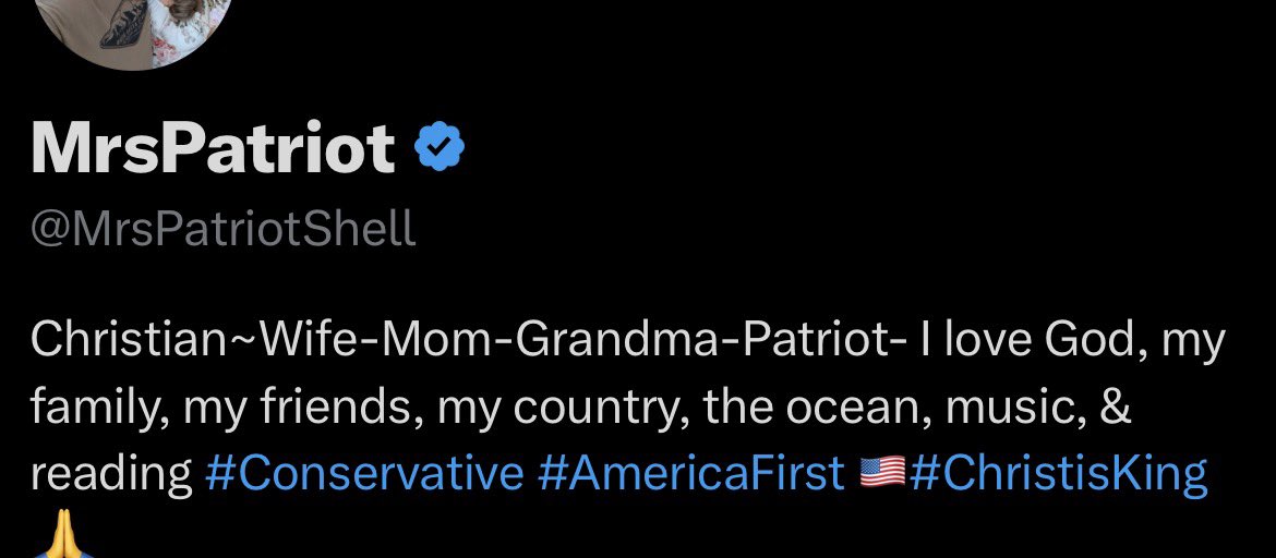 MrsPatriot tweet media
