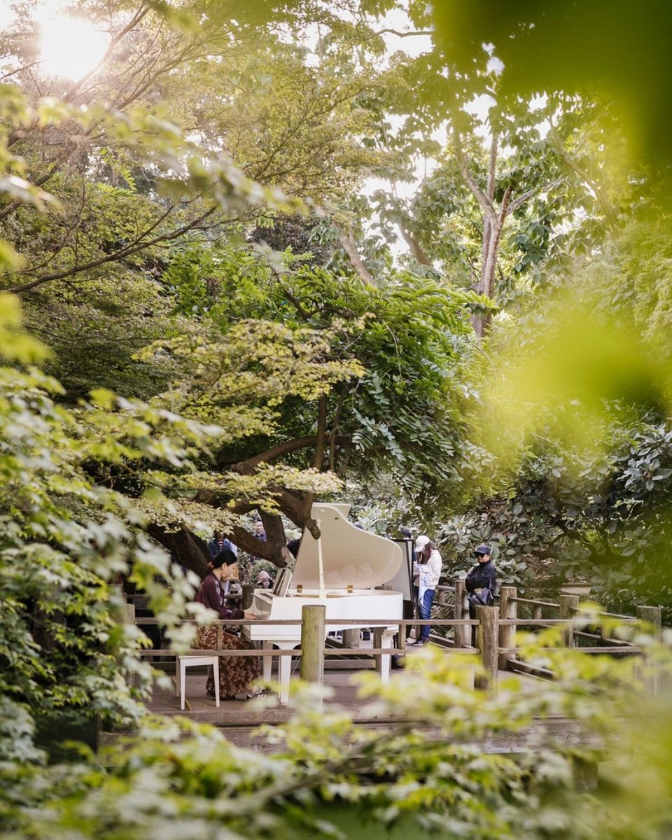 Gardens of Golden Gate Park tweet media