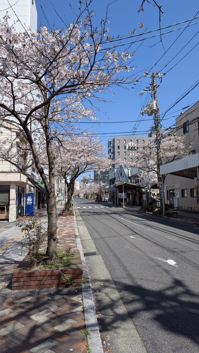 やんみい@草組4期生チャミチャンネル永久登録者 tweet media