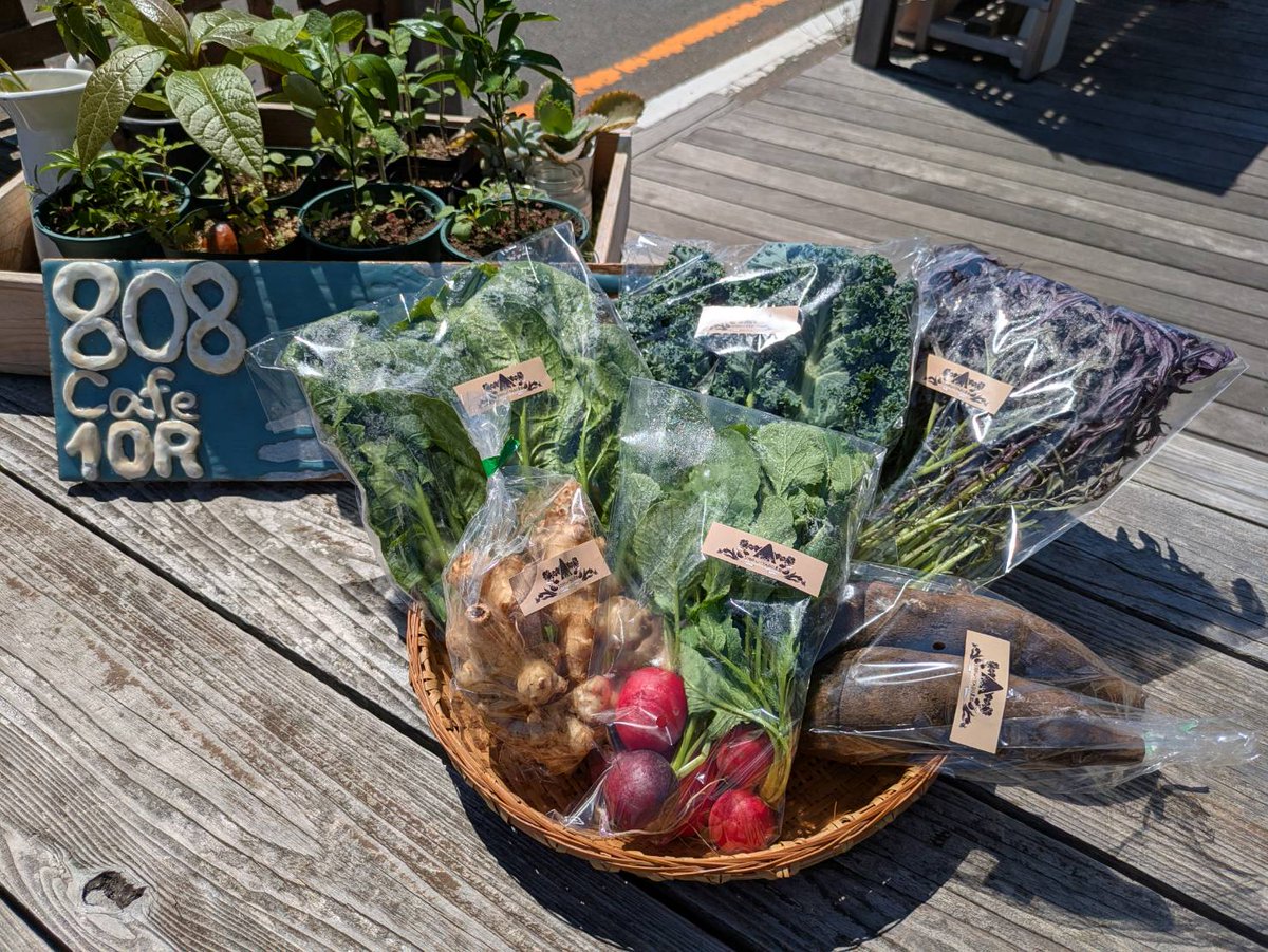 808 Cafe 10R(やおやかふぇてんあーる) tweet media