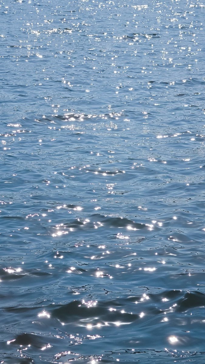 세츠❄️SETSU tweet media