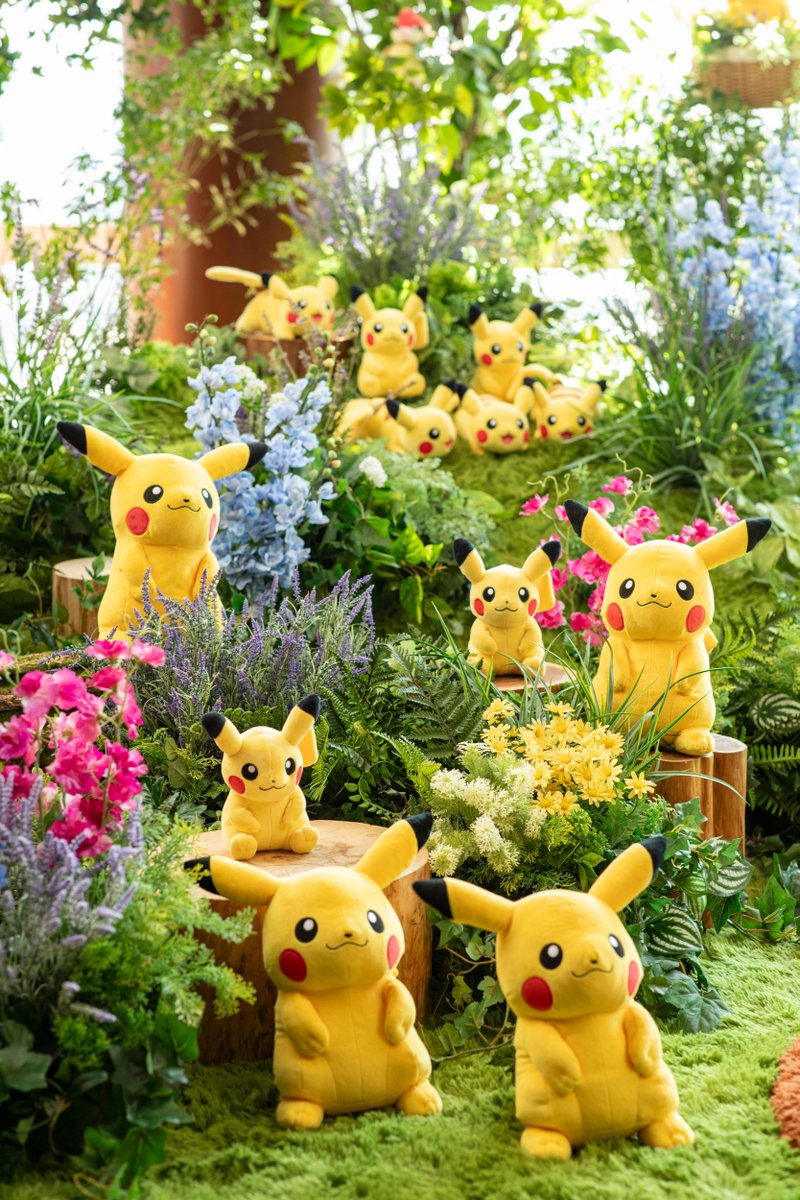 【公式】ポケモン情報局 tweet media