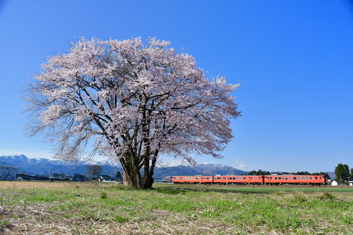 いけだ tweet media