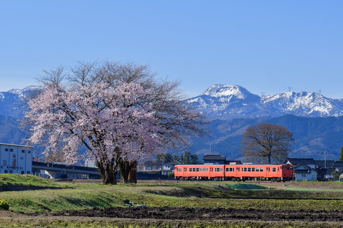 いけだ tweet media