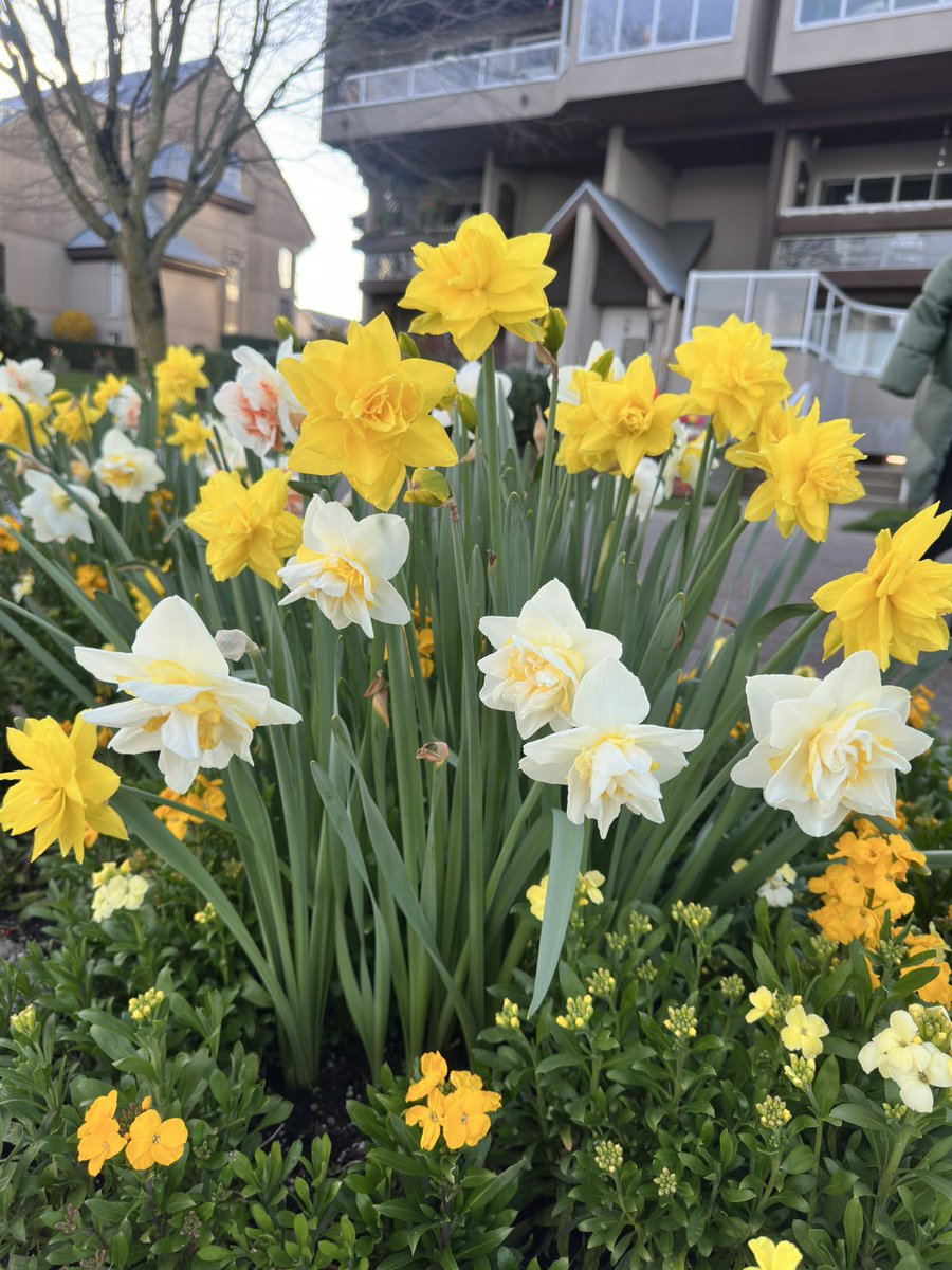 Chef Engr. Kentoy👨‍🍳⚓️🚢 tweet media