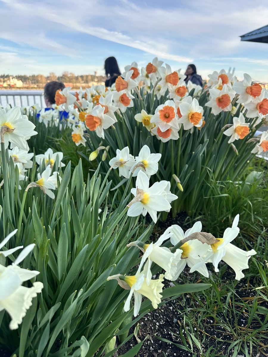 Chef Engr. Kentoy👨‍🍳⚓️🚢 tweet media