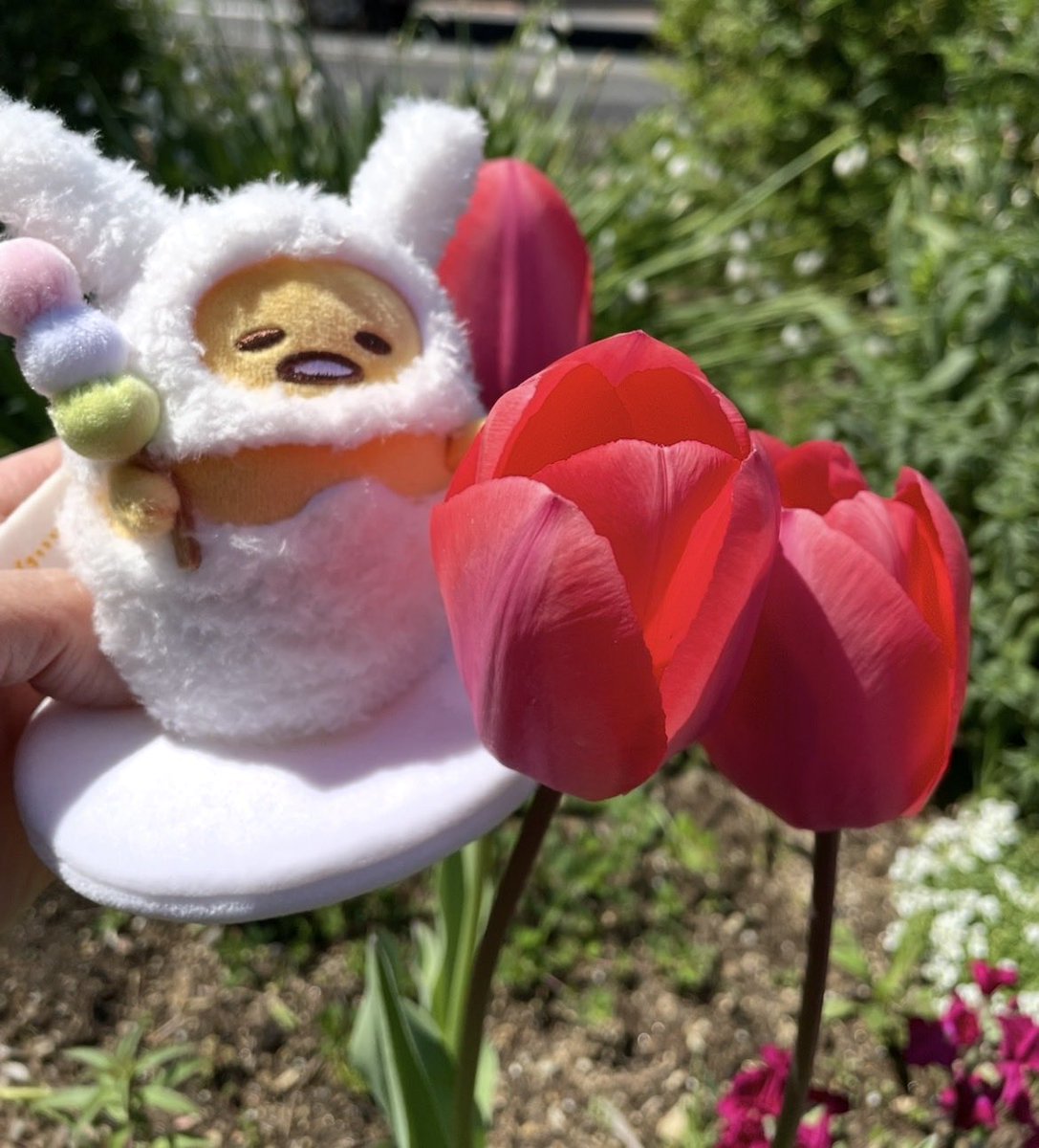 me!ぐで🍥🕙 tweet media