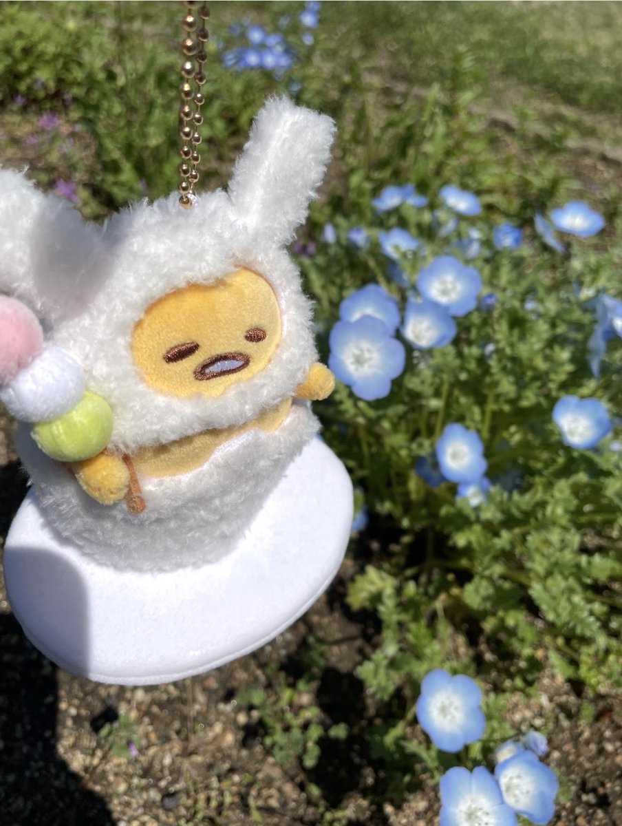 me!ぐで🍥🕙 tweet media