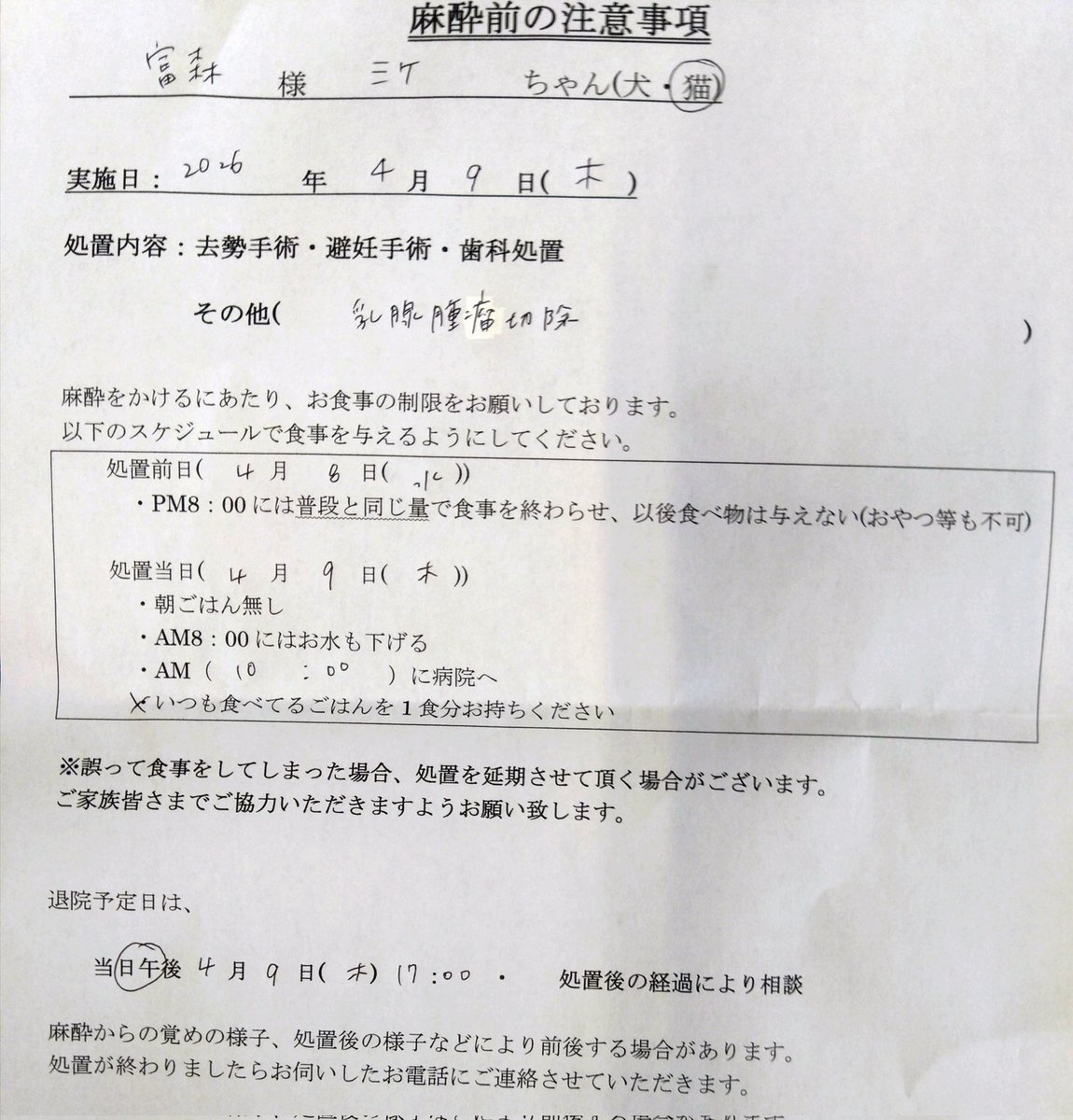 ojm52811's tweet photo. ミケちゃん血液検査の結果は良好だったのですがショッキングなことに右側の乳腺に腫瘍が見つかってしまいました…。猫の乳腺腫瘍はほとんどが悪性で進行や転移のスピードがとても早いので明日緊急手術をおこなうことになりました。転移のリスクを抑えるため両側の乳腺をすべて切除する方法がベストではありますが、ミケちゃんは重い持病を抱えているので身体への負担を考慮して先生と相談し右側のみの腫瘤とその付近の乳腺を切除手術することになりました。
こんなに頑張っている良い子のミケちゃんに神様はどれだけ試練を与えるのでしょうか…。やり切れない気持ちで一杯ではありますが病院から帰ったミケちゃんの前向きな表情を見ると逆にこちらが勇気づけられます。
ミケちゃん「生きるのよ。まだまだこの世界で。私はあきらめないわ。」