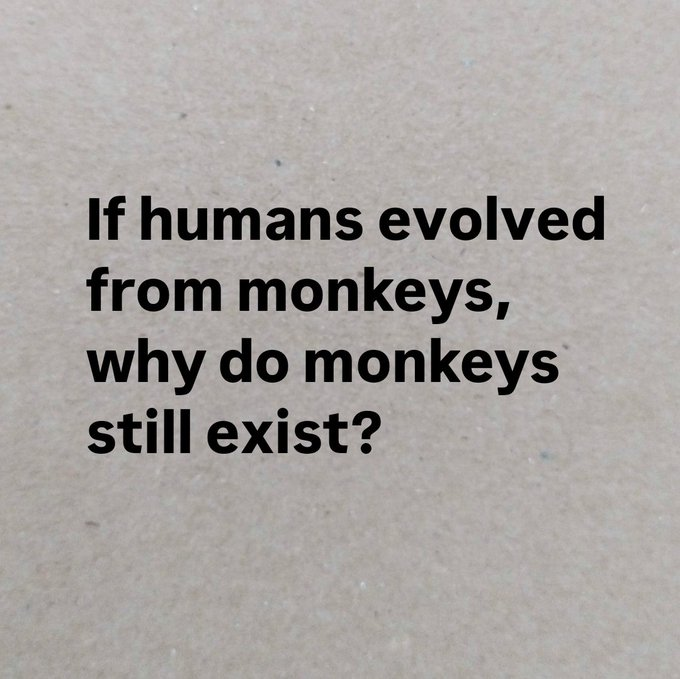 AngelKiller677's tweet photo. Free social programs would be my guess.
#SocialPrograms
#Monkeys
#Republican
#Democrat
#Racists https://t.co/liAqM3EbG9
