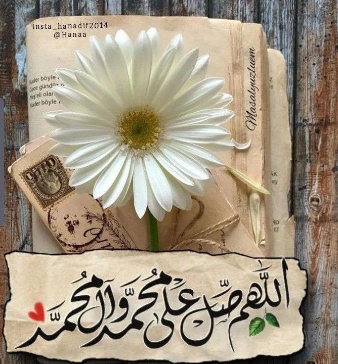 Amal Fatima tweet media