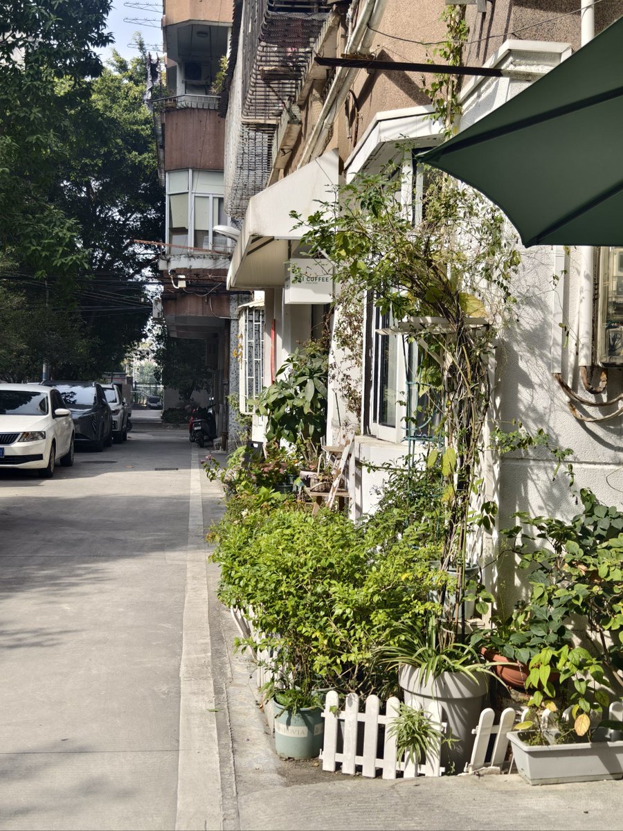 Brett Sheldon tweet media