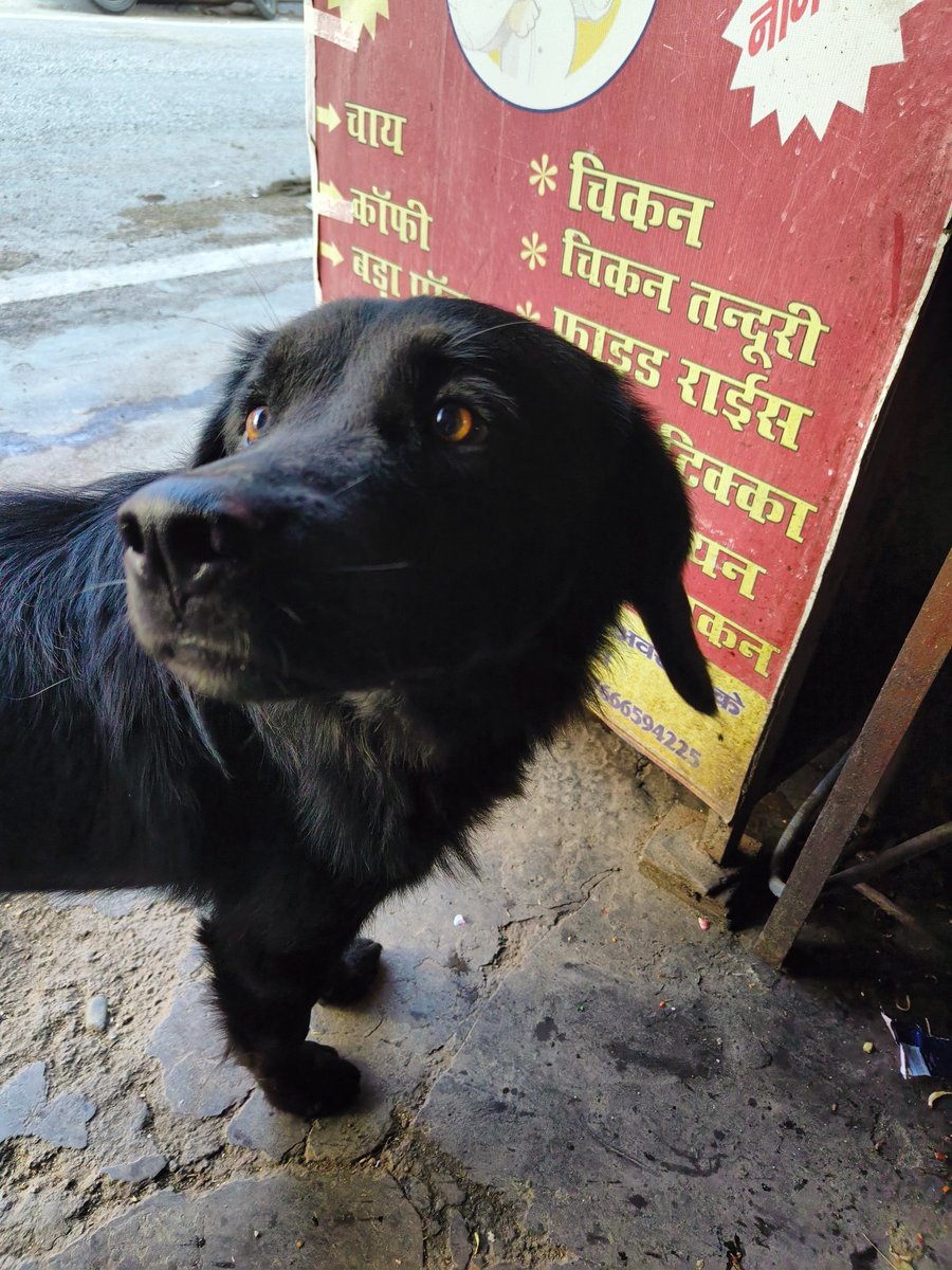 pikapin_Negi tweet media