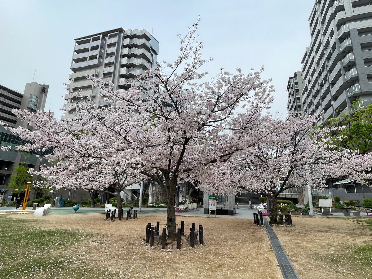 indian restarunt Nazial tweet media