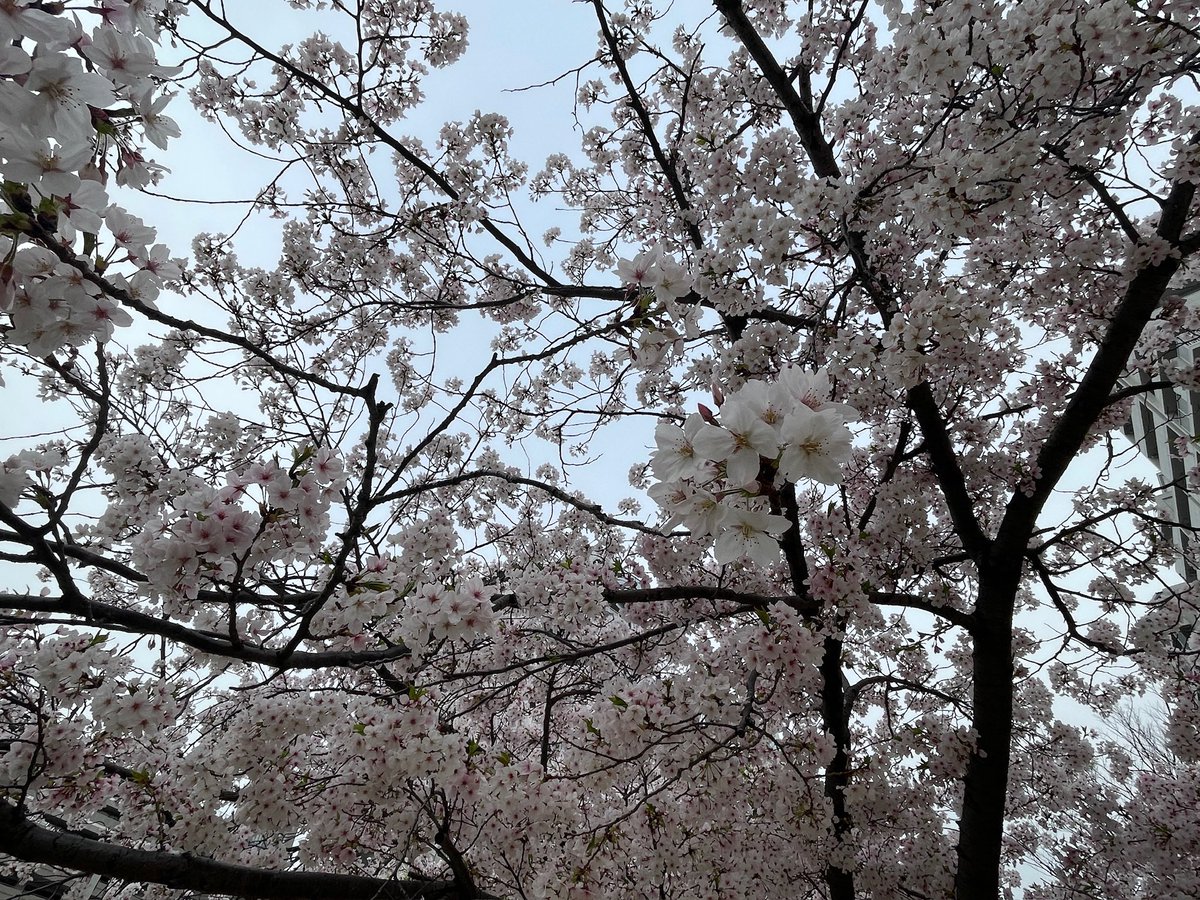 indian restarunt Nazial tweet media