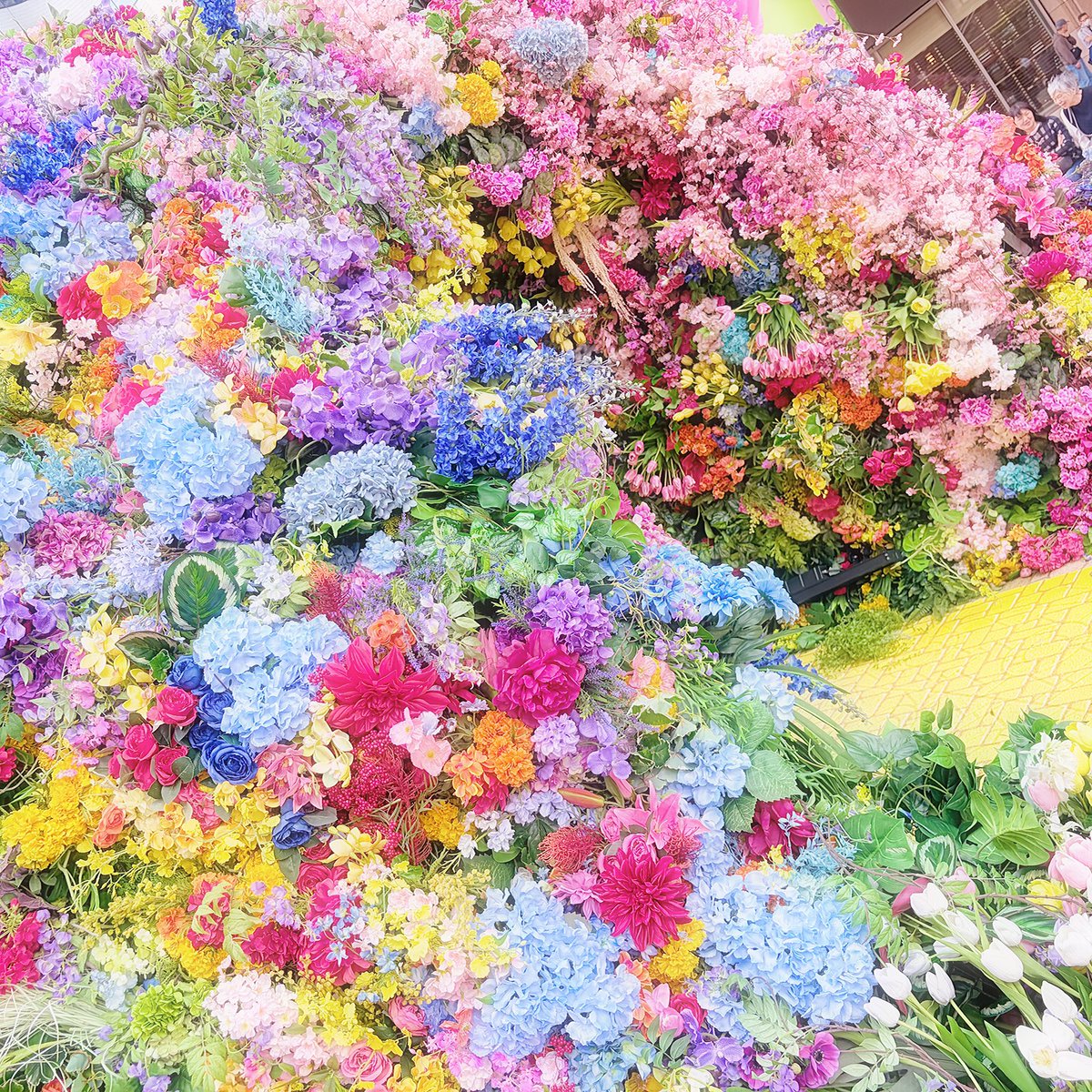 天羽 みか tweet media