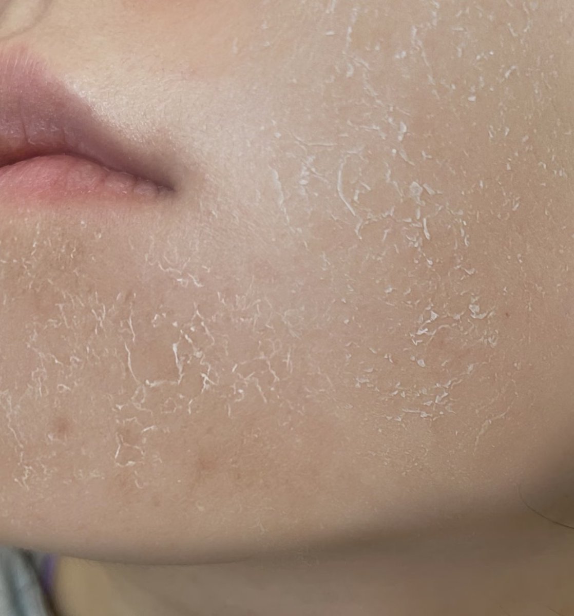 ダラダラちゃん tweet media