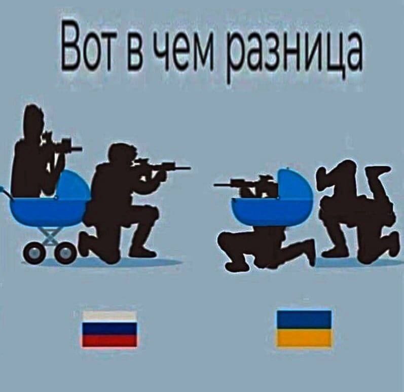 Maplatter tweet media