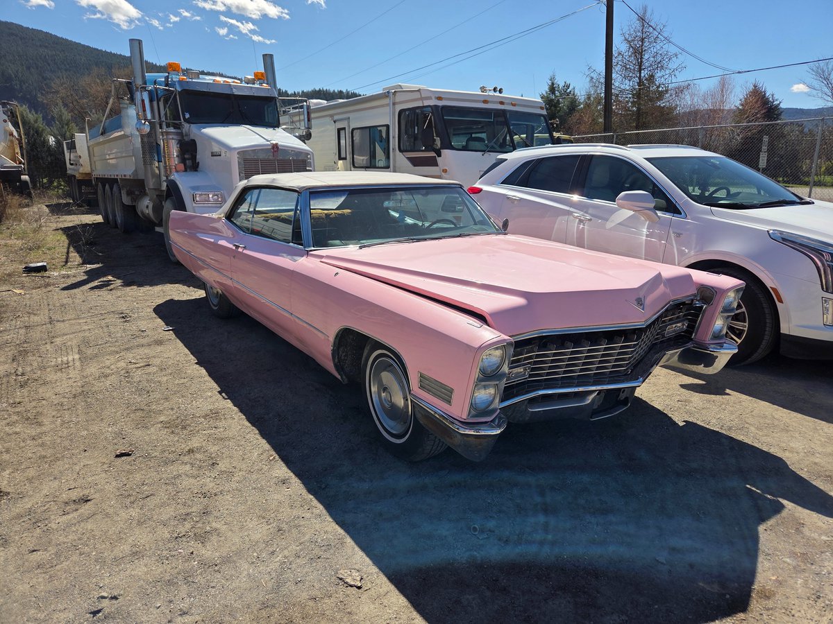 Upon a page tweet media