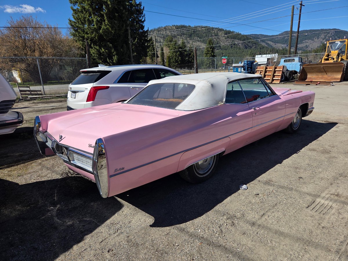 Upon a page tweet media