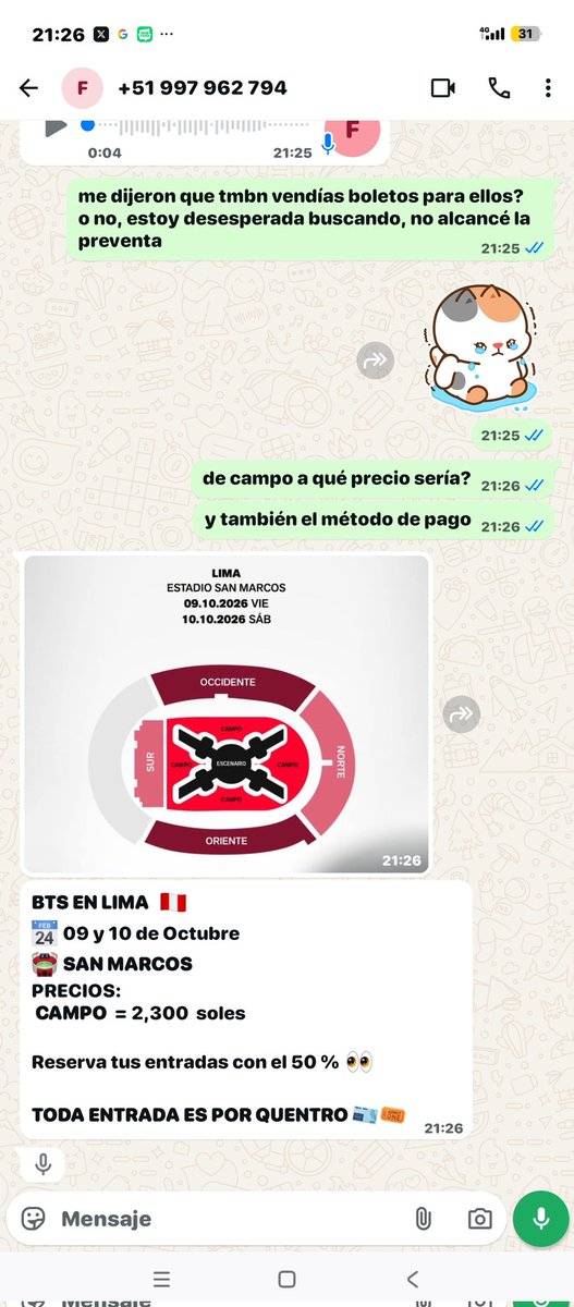 ₊˚ʚ allie tweet media