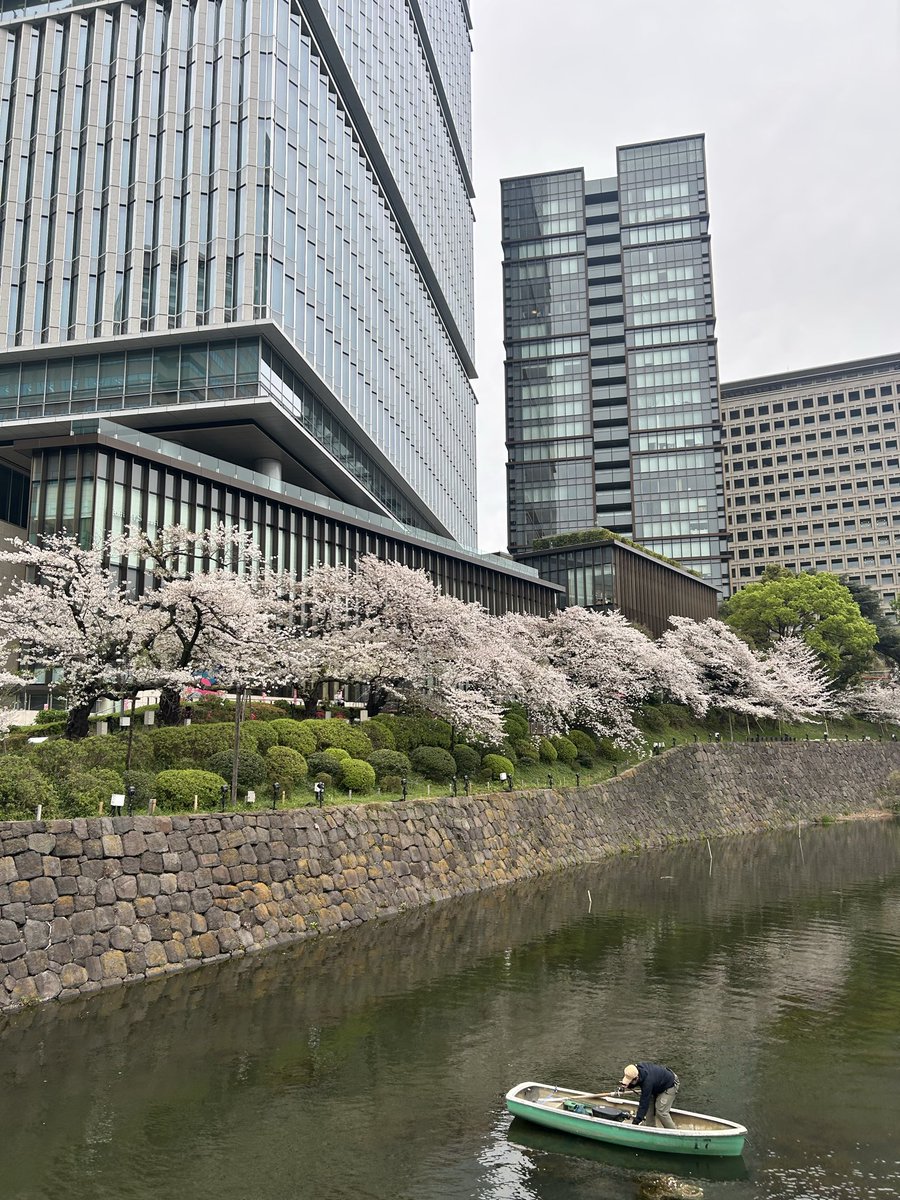 ゆうと tweet media