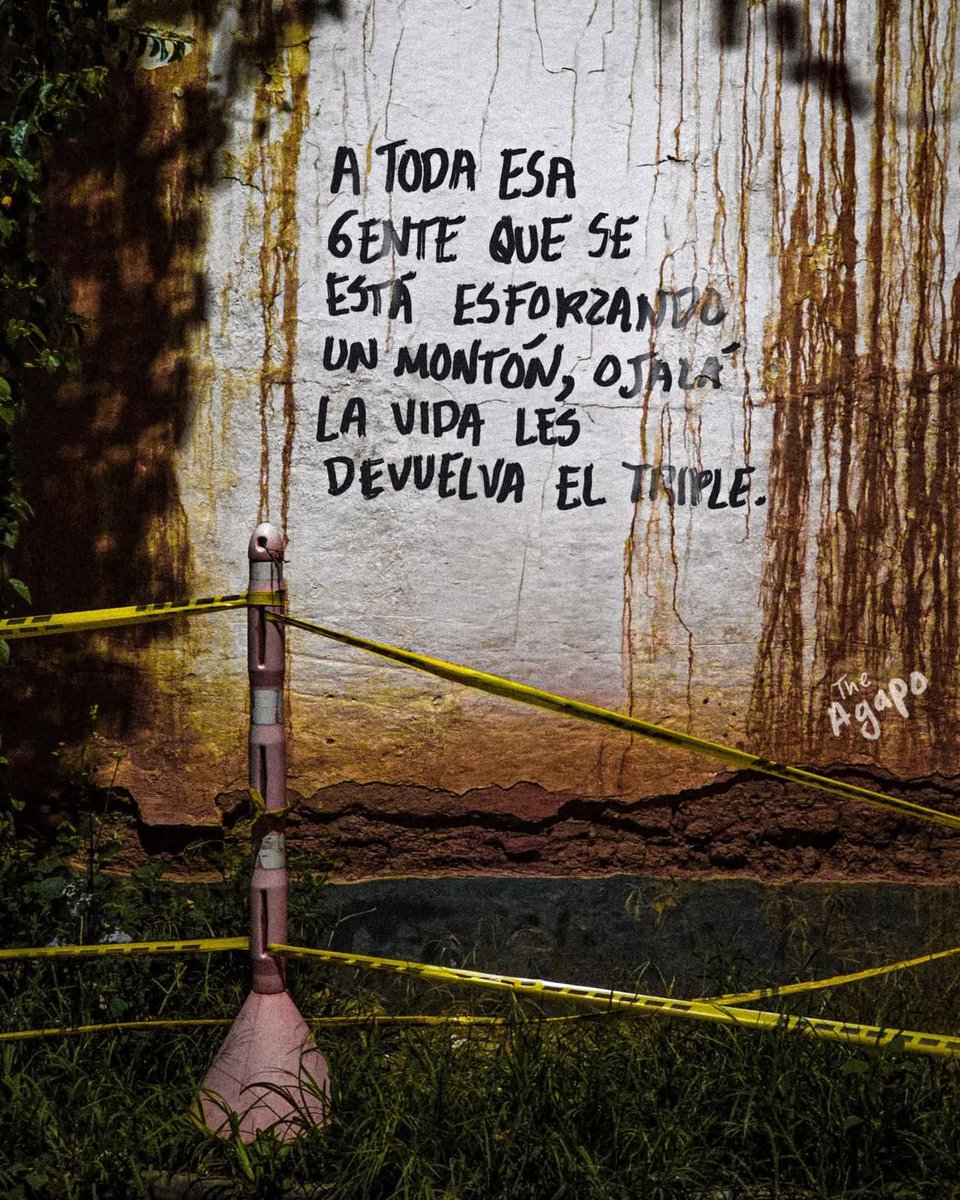 Tremenda tweet media