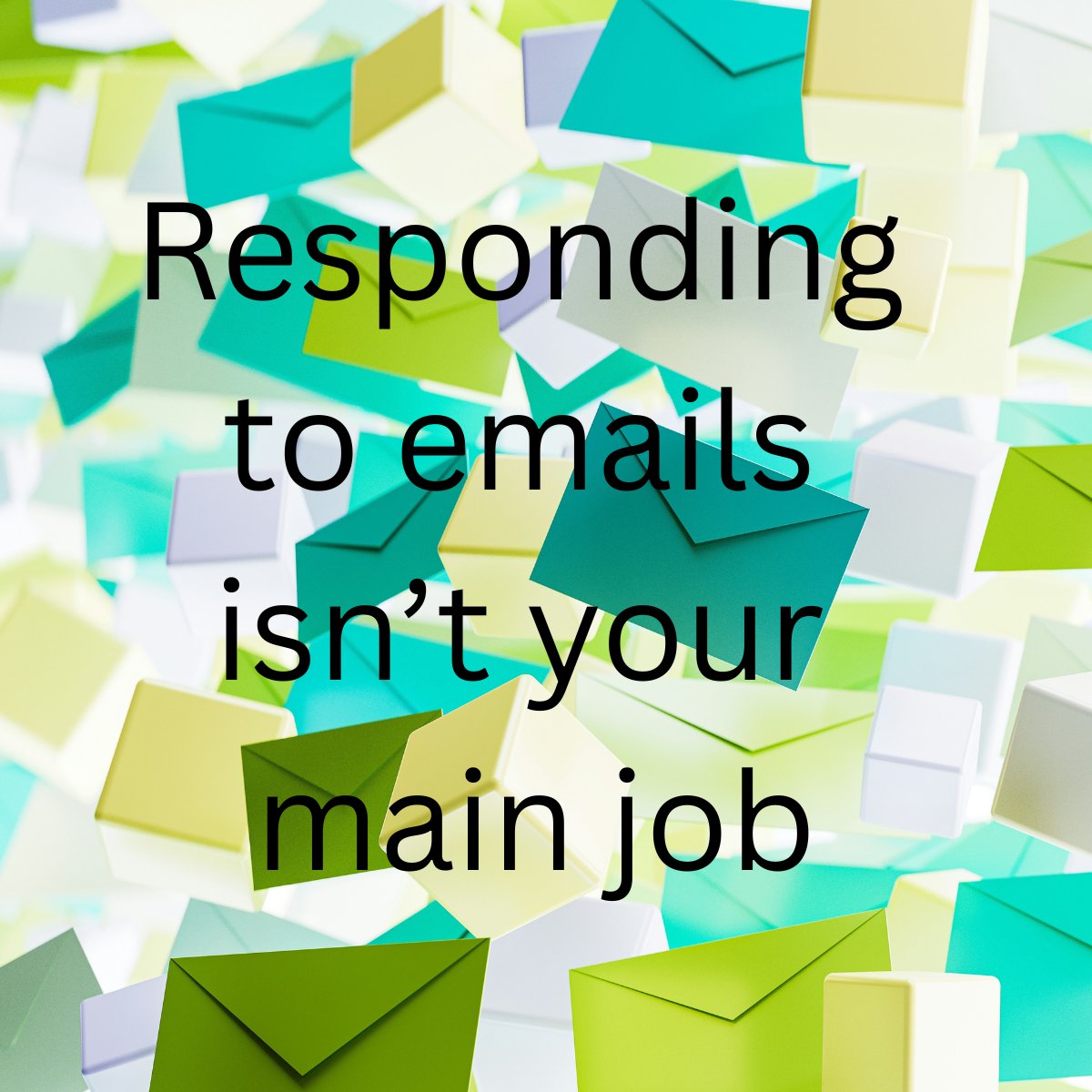 Right Coach tweet media