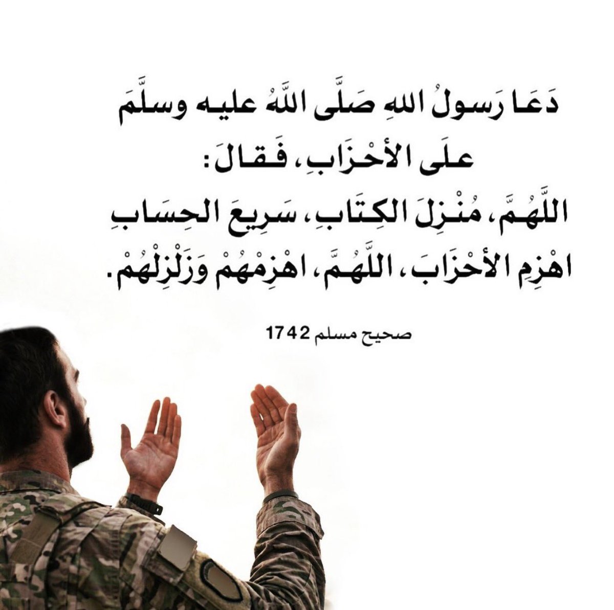 هلا حسين عجيمي tweet media