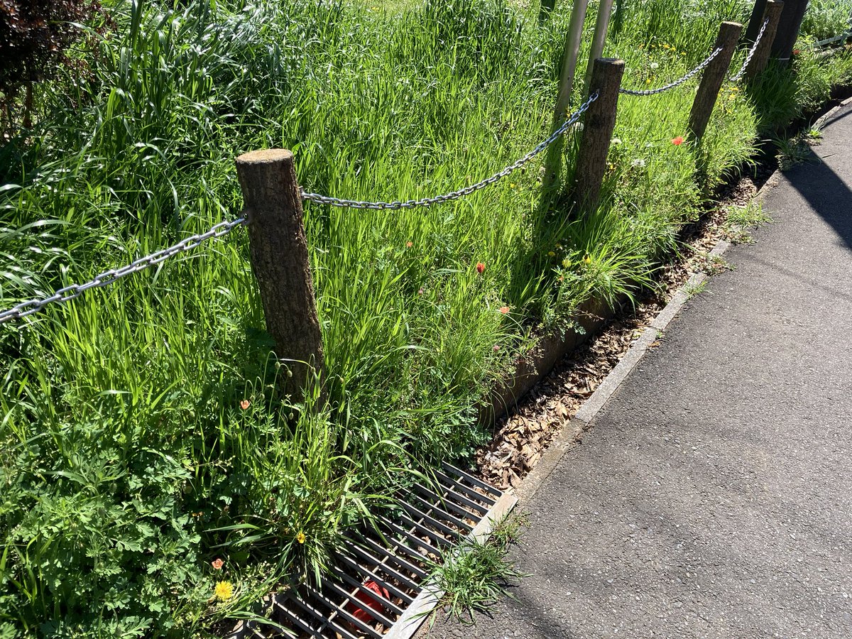 🥜無人艦隊39🥔 tweet media