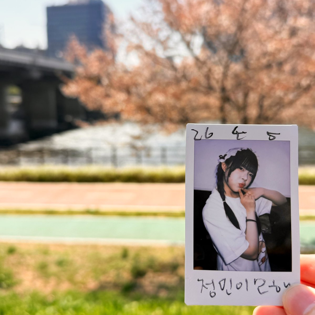 만두🐣 tweet media