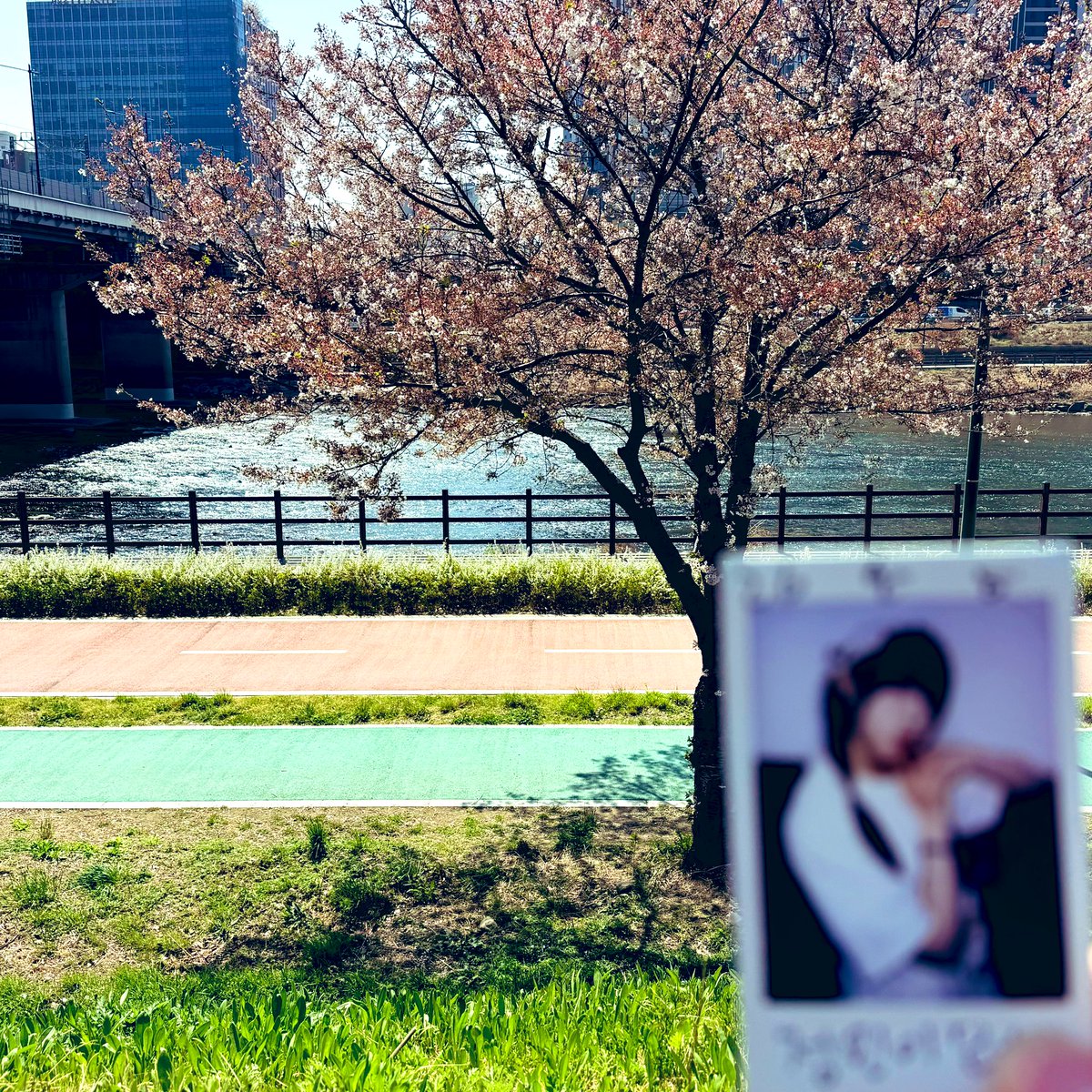 만두🐣 tweet media