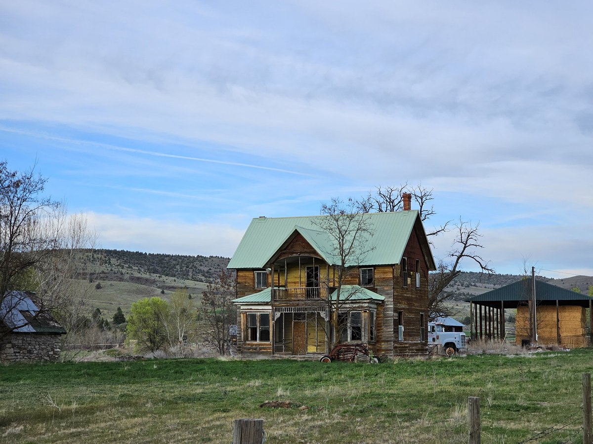 Matthew Hurley tweet media