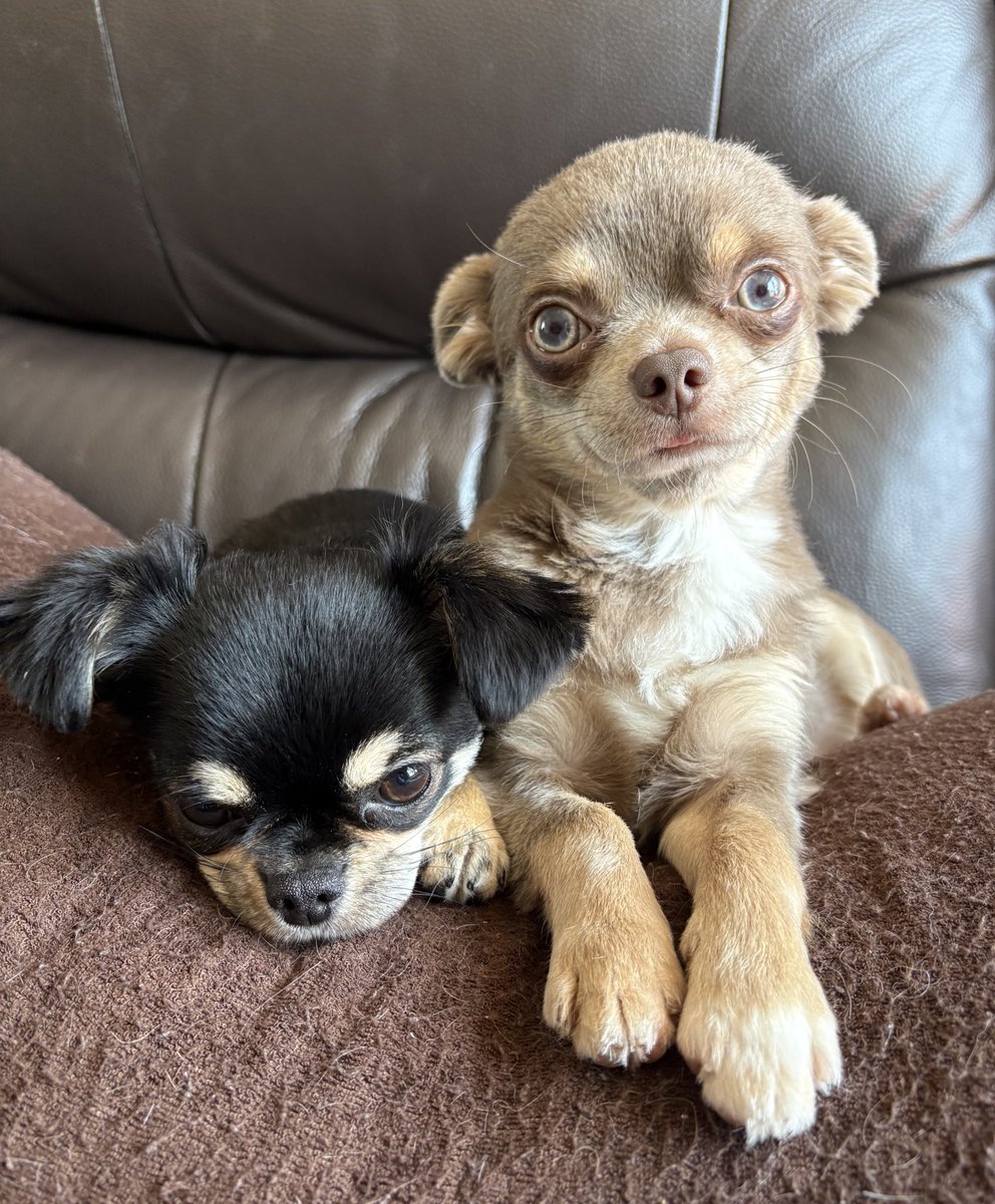 中村龍介 tweet media