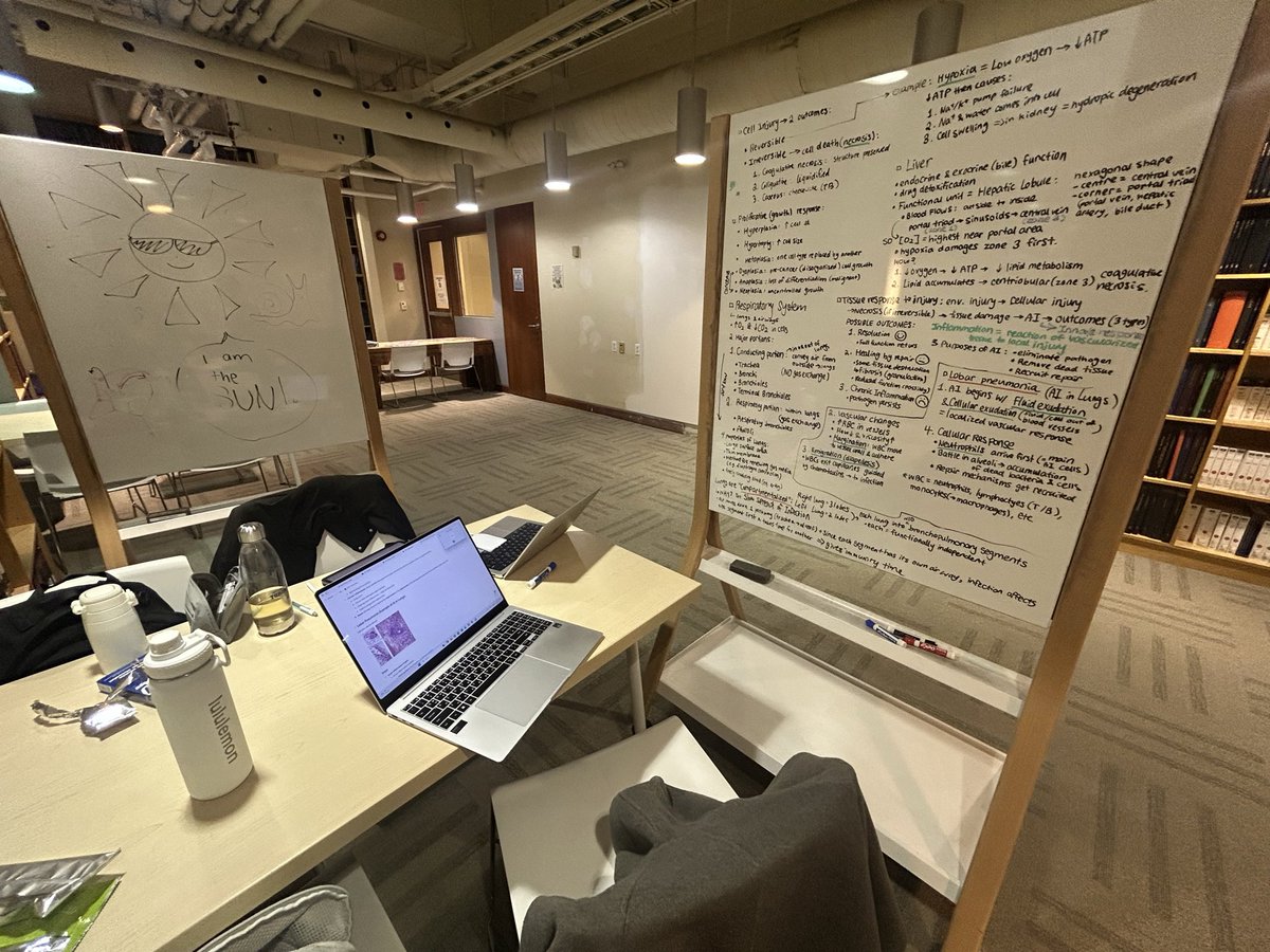 헤이즐 tweet media