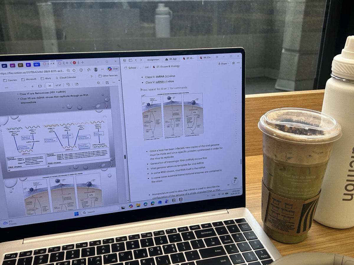 헤이즐 tweet media