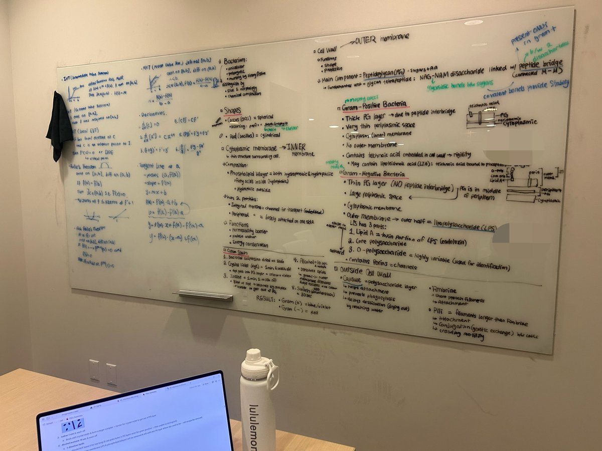 헤이즐 tweet media