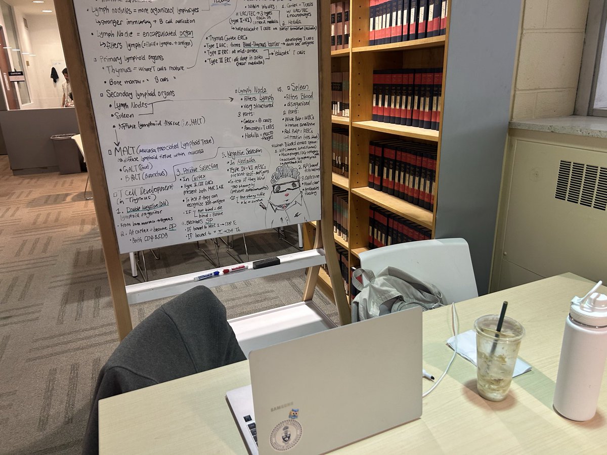 헤이즐 tweet media