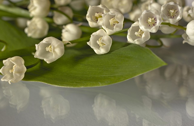 Philip Scott tweet media